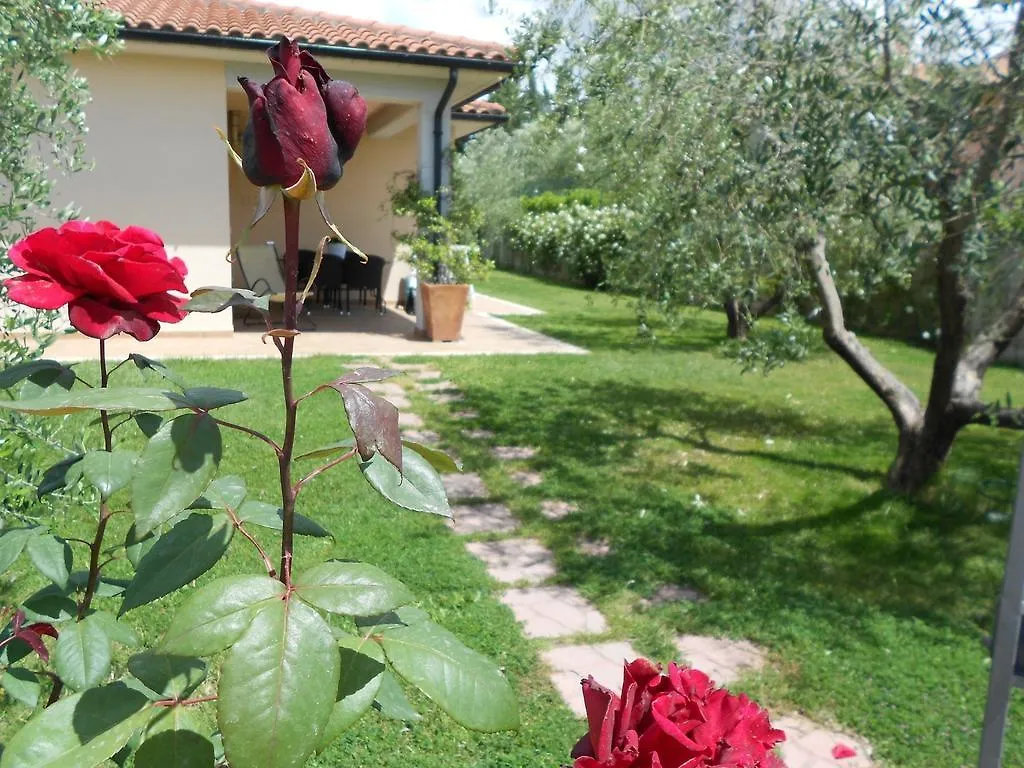 Poggio Degli Olivi Guest House Saturnia Italy